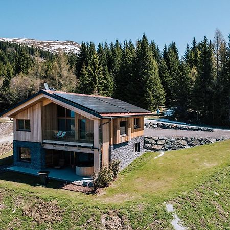 Almchalet - Luxus Am Fusse Der Koralpe Goding 外观 照片